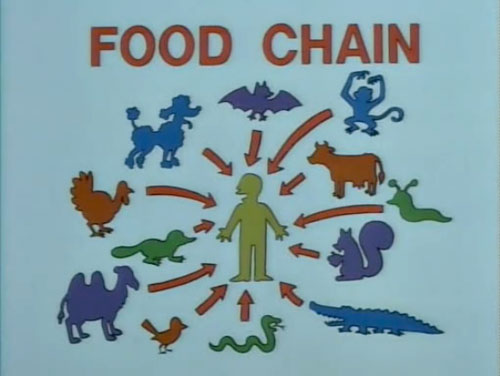 pig food chain