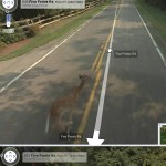 Google Killed Bambi. You Bastards!