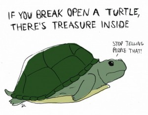 Important Safety Announcement About Turtles