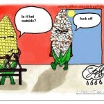 What Happens To Popcorn When It’s Hot Outside?