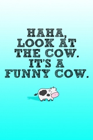 funny cows. It#39;s a Funny Cow.