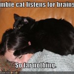 LOL Zombie Cats Get Nothing