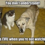 LOL Zombie Cats Evil