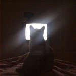 LOL Zombie Cats Coming