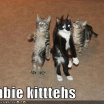 LOL Zombie Kittens