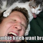 LOL Zombie Cats Eat Humans