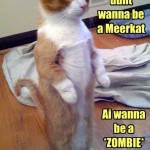 LOL Zombie Cats or Meerkats