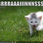 LOL Zombie Cats - BBBBRRRRAAAIIINNNSSSS