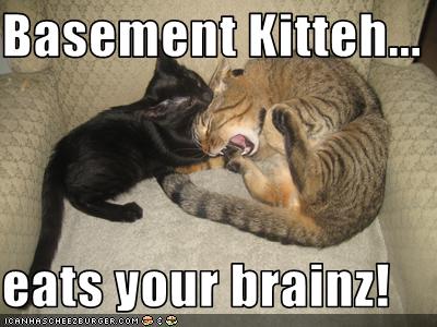 LOL Zombie Cats Eat Cats Brains