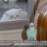 LOL Zombie Cats Eat Birds