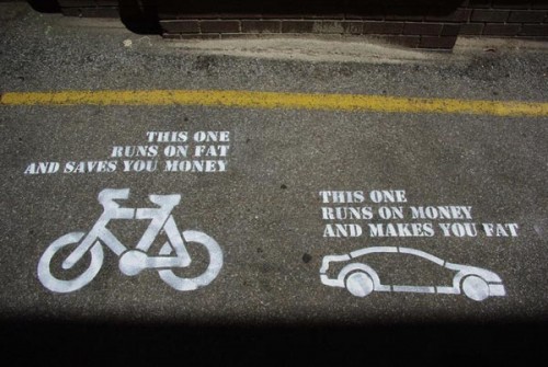Bike or Car? Money or Fat?