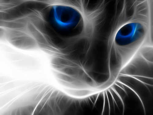 Glowing Cat