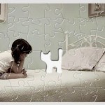 Is Your Life Missing Something? Possibly A Cat?