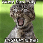 That’s Right. Run Bitch.
