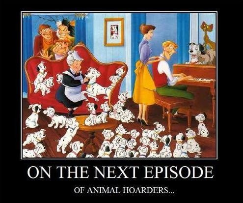 Animal Horders - 101 Dalmatians Animal Horders - 101 Dalmatians