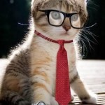 One Smart Kitty #pict