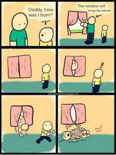 Daddy, How Was I Born?