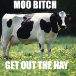Moo Bitch. Get Out Of The Hay.