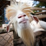 Yo! It’s Sunday. Chillax.