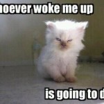 Whoever Woke Me Up Is Going To Die