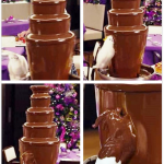 Polly want some chocolate?!