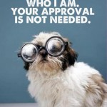 I am who I am. Your approval is not needed.