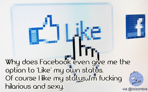 Facebook Like Button