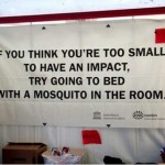 Mosquitos can make an impact, why can’t you?