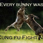 Every bunny was kung fu fighting.
