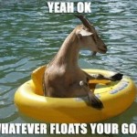 Whatever Floats Your Goat