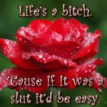 Life’s a bitch. ‘Cause if it was a slut it’d be easy.