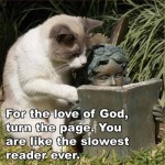 For the love of God, turn the page!