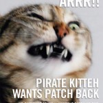 Arrr Me Cat Is A Pirate!