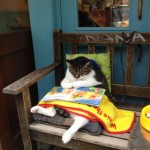 Shhh I’m trying to read.