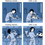 Life with and without cats.