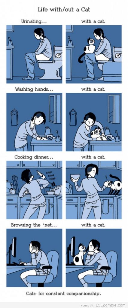 Life With-Without A Cat
