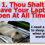 10 Commandments for Happy Cats