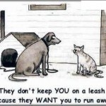 Why don’t they put cats on a leash? Because owners want them to run away.