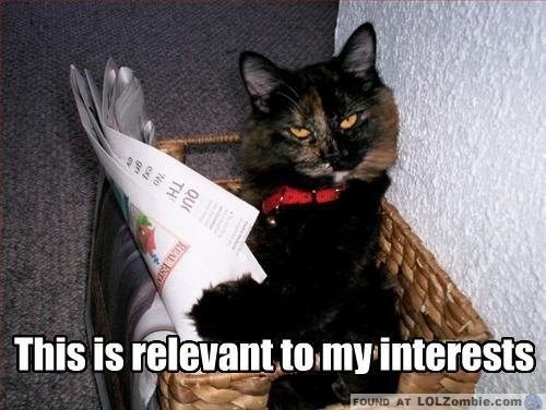 cat-interests.jpg